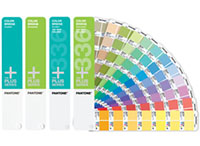 pantone color bridge