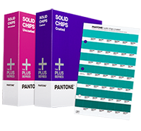 pantone solid chips